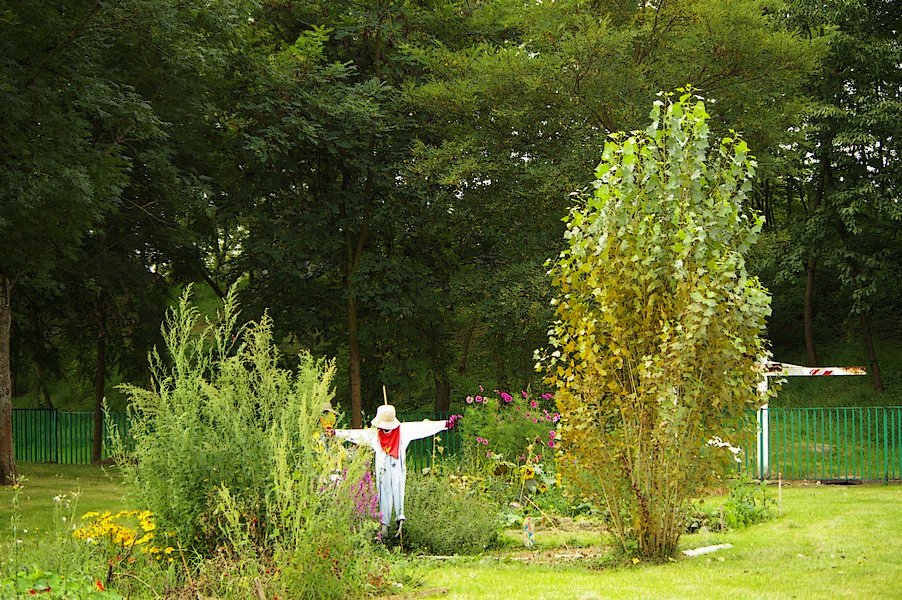 Jardin Ecole La Fontaine: Jardin Ecole La Fontaine 010